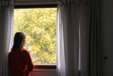 Woman Looking Out Of Window Stalker